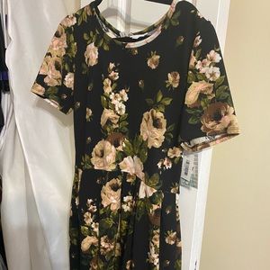 LuLaRoe Amelia 2x NWT